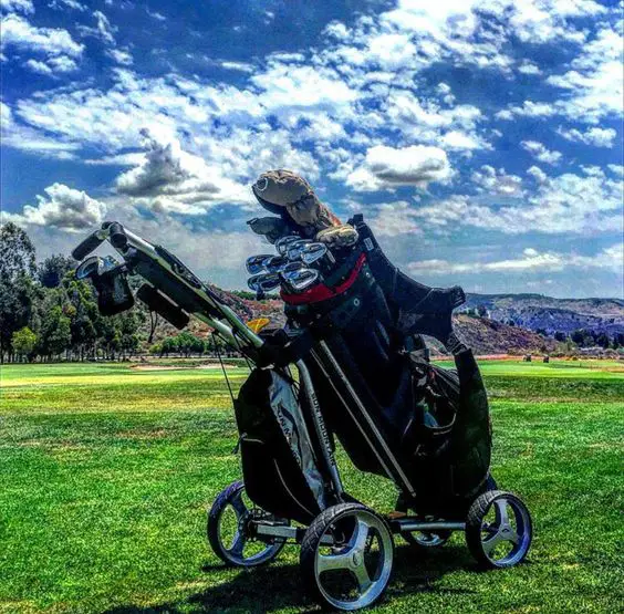 best golf push cart 2020