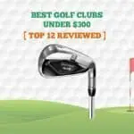 12 Best Golf Clubs under $300 【Budget Friendly】