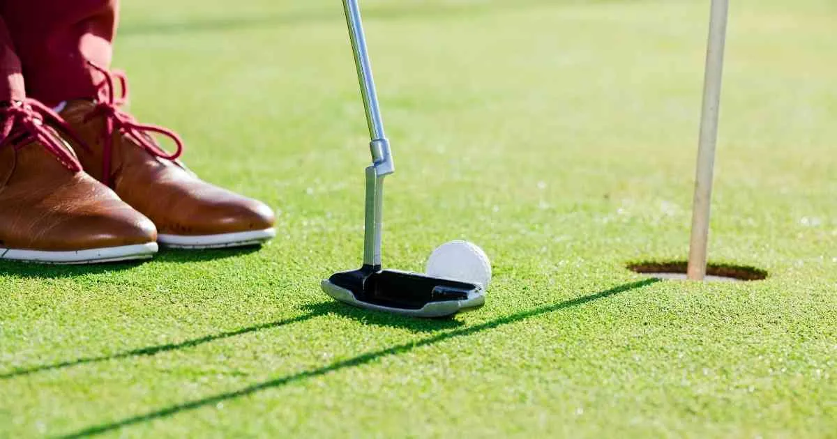 Everything You Need to Know About Chipper Golf Club